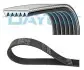 6PK1059PM Доріжковий пас DAYCO підбір по vin на Brocar