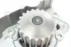 538015110 Помпа води Fiat Scudo 96-06/Ducato/Peugeot Boxer/406 1.9D/TD/2.0 94-02 INA підбір по vin на Brocar