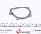 PA911 Помпа води Fiat Scudo/Ducato/Peugeot/Citroen/Hyundai 1.8-1.9D/TD 94-06 (20z)(B/B)(7 лоп)(d імп=71мм) GRAF підбір по vin на Brocar