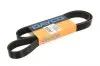 7PK1338HD Поликлиновый ремень DAYCO підбір по vin на Brocar