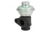 571822112113 Клапан EGR MAGNETI MARELLI підбір по vin на Brocar