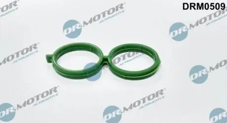 DRM0509 Ущільнення, клапан рег. холост. ходу системи подачі повітря DR.MOTOR підбір по vin на Brocar