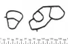 262490 Прокладка корпуса фильтра масляного Citroen Berlingo/Nemo/Peugeot Partner 1.4-1.6HDI 05- ELRING підбір по vin на Brocar