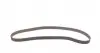 CT1061WP1 Комплект ГРМ + помпа Citroen Jumper/Jumpy/Berlingo/Fiat Scudo/Peugeot Boxer 1.9D/TD 94-06 (25x136z) CONTITECH підбір по vin на Brocar