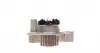 CT1061WP1 Комплект ГРМ + помпа Citroen Jumper/Jumpy/Berlingo/Fiat Scudo/Peugeot Boxer 1.9D/TD 94-06 (25x136z) CONTITECH підбір по vin на Brocar