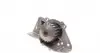 CT1061WP1 Комплект ГРМ + помпа Citroen Jumper/Jumpy/Berlingo/Fiat Scudo/Peugeot Boxer 1.9D/TD 94-06 (25x136z) CONTITECH підбір по vin на Brocar