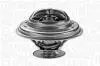 352027388000 TERMOSTAT VW 87C T2 1,9-2,1 MAGNETI MARELLI підбір по vin на Brocar