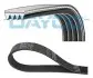 Ремінь генератора BMW 5 (E60) 4.0-4.8i 03-10 (N62) 4PK844EE