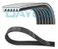 Дорожечный пас 6PK1525S