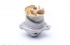 P525 Помпа воды VW T5/T6/Golf/Passat/Audi Q7/TT 2.8 V6-3.2 V6 00- HEPU підбір по vin на Brocar