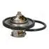 VT316 Термостат с прокладкой t-82C Fiesta V 01-, Focus|| 04-, Mazda 2 -3 JAPANPARTS підбір по vin на Brocar