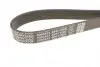 6PK1100S Ручковий ремінь 6PK Dayco DAYCO підбір по vin на Brocar