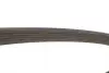 6PK1100S Ручковий ремінь 6PK Dayco DAYCO підбір по vin на Brocar