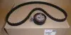 Комплект ГРМ Citroen Berlingo/Nemo 1.4i 0831S0