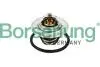 Термостат VW T5/Caddy/Passat 1.6/2.0i 03-15 (от87-до102°C) (OE VAG) B13140