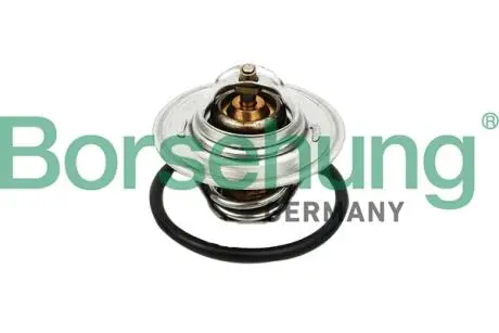 B13140 Термостат VW T5/Caddy/Passat 1.6/2.0i 03-15 (от87-до102°C) (OE VAG) BORSEHUNG подбор по vin на Brocar