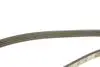 4PK1155S Ремень генератора Toyota Auris/Corolla 1.3 12-18 DAYCO підбір по vin на Brocar