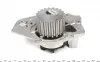 PA256 Помпа воды Peugeot 205/305/309/405/Expert/Citroen Bx 1.6/1.9/1.9D 82-98 (20z) (B/B) (6 лоп) GRAF підбір по vin на Brocar