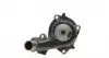 PA590 Помпа води Ford Mondeo I/II 1.8TD 93-00 (R/B) (9 лоп) GRAF підбір по vin на Brocar