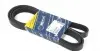 Ремінь генератора Chevrolet/Daewoo Nubira/Saab (6PK1890) 050 006 1890