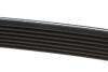 7PK1569 Ремінь генератора Renault Kangoo/Megane III/Scenic III 1.2TCe 12- (7PK1569) DAYCO підбір по vin на Brocar