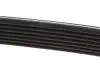 7PK1569 Ремень генератора Renault Kangoo/Megane III/Scenic III 1.2TCe 12- (7PK1569) DAYCO підбір по vin на Brocar