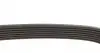 7PK1633 Ремінь генератора BMW 5 (E39)/7 (E38) 3.5i/4.4i 93-04/X5(E53) 4.4 i 00-03 DAYCO підбір по vin на Brocar
