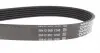6PK1910 Ремінь генератора Jeep Wrangler 4.0 i 98-07 DAYCO підбір по vin на Brocar