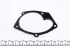 PA1087 Помпа воды Renault Trafic/Megane/Laguna/Opel Vivaro/Mitsubishi/Volvo 1.9dCi/2.0 00- (10 лоп)(B/B HD) GRAF підбір по vin на Brocar