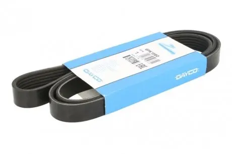 6PK1560 Поликлиновый ремень DAYCO підбір по vin на Brocar