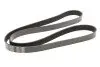 Ремінь генератора BMW 5 (E39)/7 (E38) 3.5i/4.0i 96-03 (7PK1635) 050 007 1635