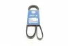 Ремень генератора Opel Omega B 2.5DTI 01-03/Land Rover Range Rover 3.0D 02-12 (5PK2020) 050 005 2020