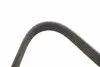 0500052020 Ремінь генератора Opel Omega B 2.5DTI 01-03/Land Rover Range Rover 3.0D 02-12 (5PK2020) MEYLE підбір по vin на Brocar