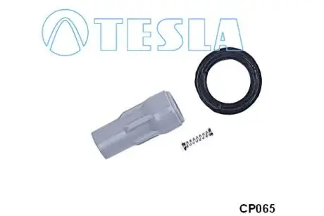 CP065 Вилка, катушка зажигания TESLA підбір по vin на Brocar