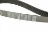 8PK1295 Ремень генератора Mazda CX-7 2.2MZR-CD AWD 09-13 DAYCO підбір по vin на Brocar