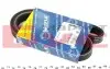 Ремінь генератора Citroen Berlingo 1.6i 00-/Peugeot Partner 1.4i 96- (5PK1220) 050 005 1220