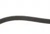 0500051815 Ремень генератора BMW 3 (E36)/5 (E34/E39)/Hyundai (5PK1815) MEYLE підбір по vin на Brocar