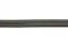 6PK2680 Ремінь генератора Audi A6 S6/RS6 quattro 99-05/A8 3.7/4.2/S8 quattro 94-02 (6PK2680) CONTITECH підбір по vin на Brocar