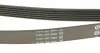 6PK2680 Ремінь генератора Audi A6 S6/RS6 quattro 99-05/A8 3.7/4.2/S8 quattro 94-02 (6PK2680) CONTITECH підбір по vin на Brocar