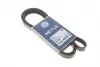 Ремень генератора Audi/BMW/Chevrolet/MB/Opel (6PK1875) 050 006 1875