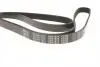 0500061875 Ремінь генератора Audi/BMW/Chevrolet/MB/Opel (6PK1875) MEYLE підбір по vin на Brocar