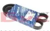 Ремінь генератора Fiat Ducato 2.2D/Ford Transit 2.2TDCI 06- (+AC) (6PK1670) 050 006 1670