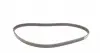 CT957WP2 Комплект ГРМ + помпа Audi A2 1.6 FSI/Seat Leon/VW Golf IV 1.6 16V 00-06 (20/17x130/58z) CONTITECH підбір по vin на Brocar