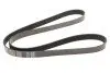 Ремінь генератора BMW 5 (E39)/7 (E38) 3.5i/4.0i 93-04 (7PK1629) 050 007 1629