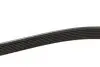 0500071629 Ремень генератора BMW 5 (E39)/7 (E38) 3.5i/4.0i 93-04 (7PK1629) MEYLE підбір по vin на Brocar