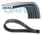 5PK1083 Поликлиновый 5PK1083 DAYCO підбір по vin на Brocar