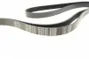 0500062155 Ремінь генератора VW LT 28-35/28-46 2.8TDI 01-06 MEYLE підбір по vin на Brocar