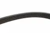 0500062155 Ремінь генератора VW LT 28-35/28-46 2.8TDI 01-06 MEYLE підбір по vin на Brocar