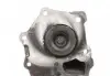 PA323 Помпа воды Ford Transit III/IV/V/VI 2.5DI/TD/TDI 83-00 (R/B) (6 лоп.) GRAF підбір по vin на Brocar