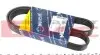 Ремень генератора Mitsubishi Galant VI 2.5 96-04 (6PK1060) 050 006 1060
